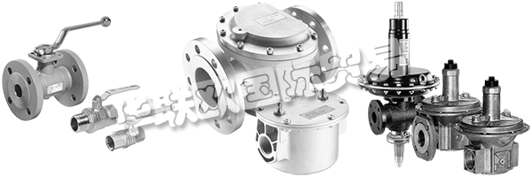 DUNGS是安全清潔氣體燃燒的同義詞，倡導(dǎo)與客戶(hù)緊密合作，