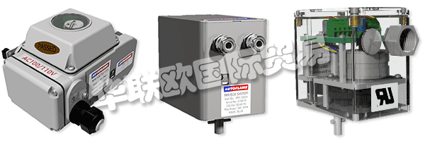 因此被視為AUTOFLAME公司和質量管理體系的主要目標。