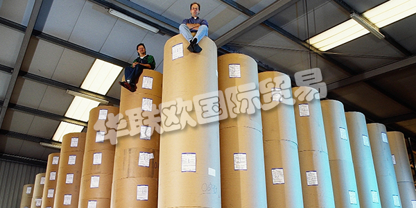 APV德國是歐洲卷材紙和柔性材料加工領域的領先公司之一。在客戶不斷變化的需求的推動下，他們不斷努力改進和完善他們的加工技術。這得到了密集投資計劃的支持。因此，他們實現了先前的機器擴展和存儲容量的擴展。2011年，Bramsche工廠新建了一個生產車間，為高科技，醫療技術和食品行業的客戶提供清潔和衛生的特殊條件。