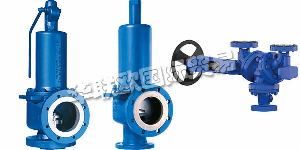 德國(guó)LESER主要產(chǎn)品:LESER閥門(mén)、安全閥等。LESER是歐洲最大的安全閥制造商,也是全球行業(yè)領(lǐng)先的公司之一。