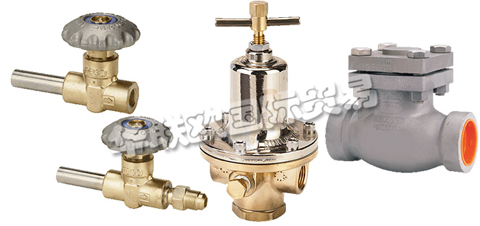 美國REGO公司主要供應(yīng)：美國REGO閥門,REGO截止閥，低溫閥，止回閥，安全閥，閘閥，分流閥，減壓閥，調(diào)壓器等產(chǎn)品。