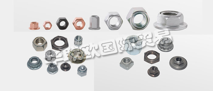 FLAIG+HOMMEL是世界知名的不銹鋼安全螺母制造商，幾十年來一直是國際汽車和鐵路行業的可靠合作伙伴。下文為您具體介紹FLAIG+HOMMEL安全螺母。