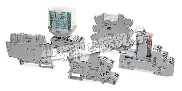 WAGO在全球擁有超過8500名員工，自1951年成立以來，WAGO規模不斷擴大，擁有了自己的檢測實驗室。其可根據國際標準、歐洲標準或客戶特定要求對WAGO產品進行測試和實驗。充分的測試意味著WAGO產品可在歐洲市場和全球安全可靠地使用。下文為您介紹WAGO模塊。