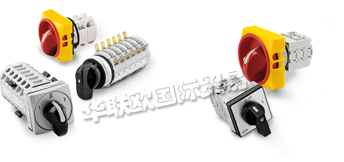 意大利BREMAS ERSCE凸輪開關CA/CS系列